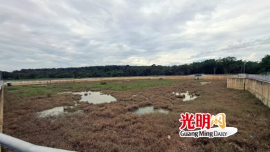 Photo of 阿兒瑪大型滯洪池啟用  望能減緩多區住宅水患