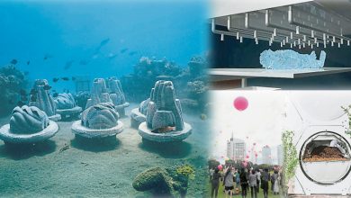 Photo of 颠覆传统！11种新奇葬礼形式