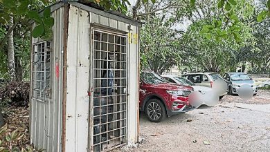 Photo of 郭素沁感谢警捉1人 促打击非法收停车费