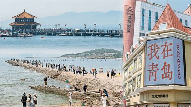 Photo of 【好吃好玩】赴青岛山海之约 微醺在红瓦绿树间