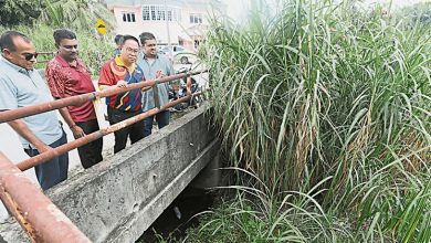 Photo of 梁德志：3公里大沟长杂草小树 斯迪亚花园居民忧淹水